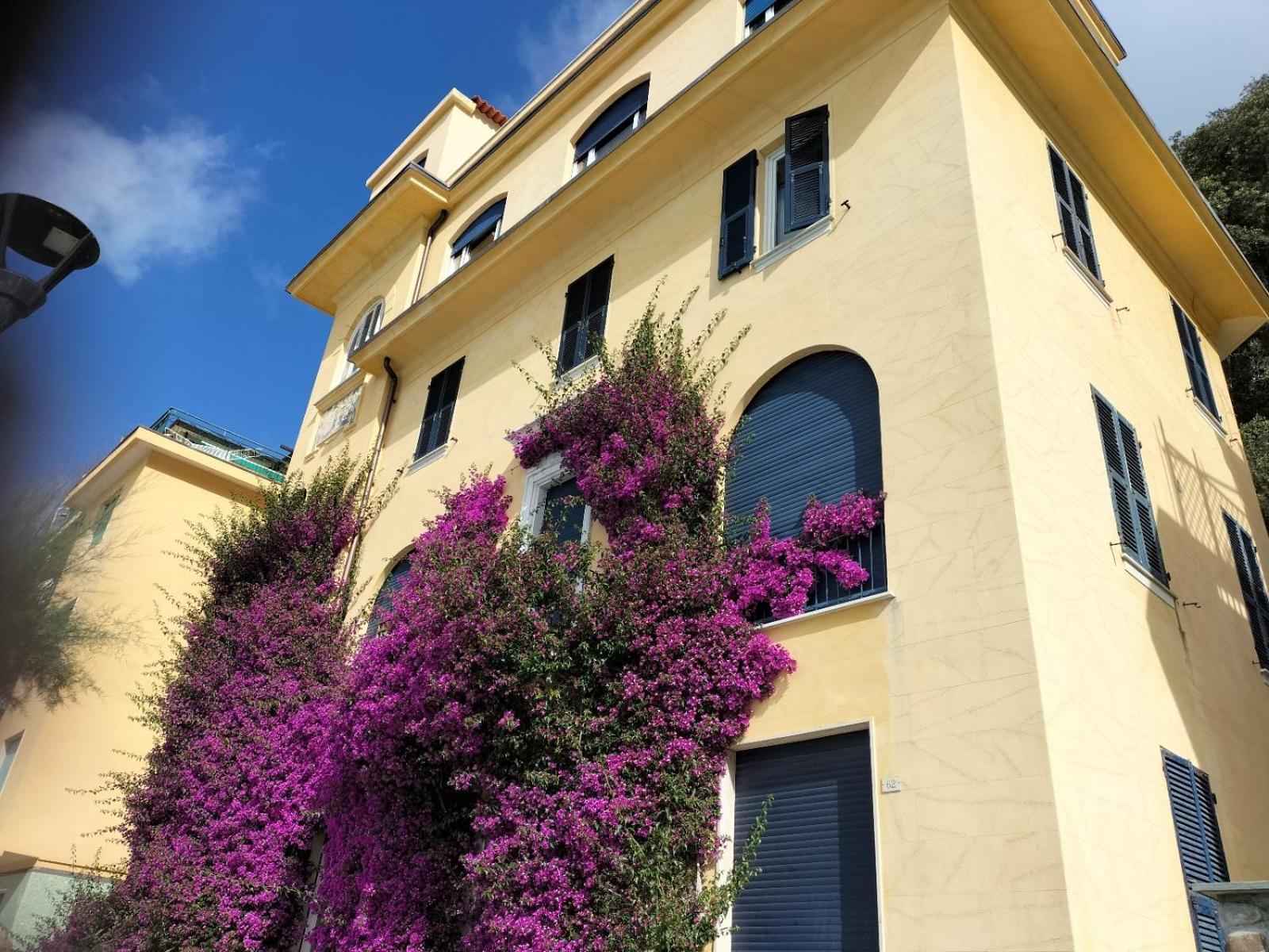 La Bouganville Beatiful Sea View Monterosso al Mare Luaran gambar
