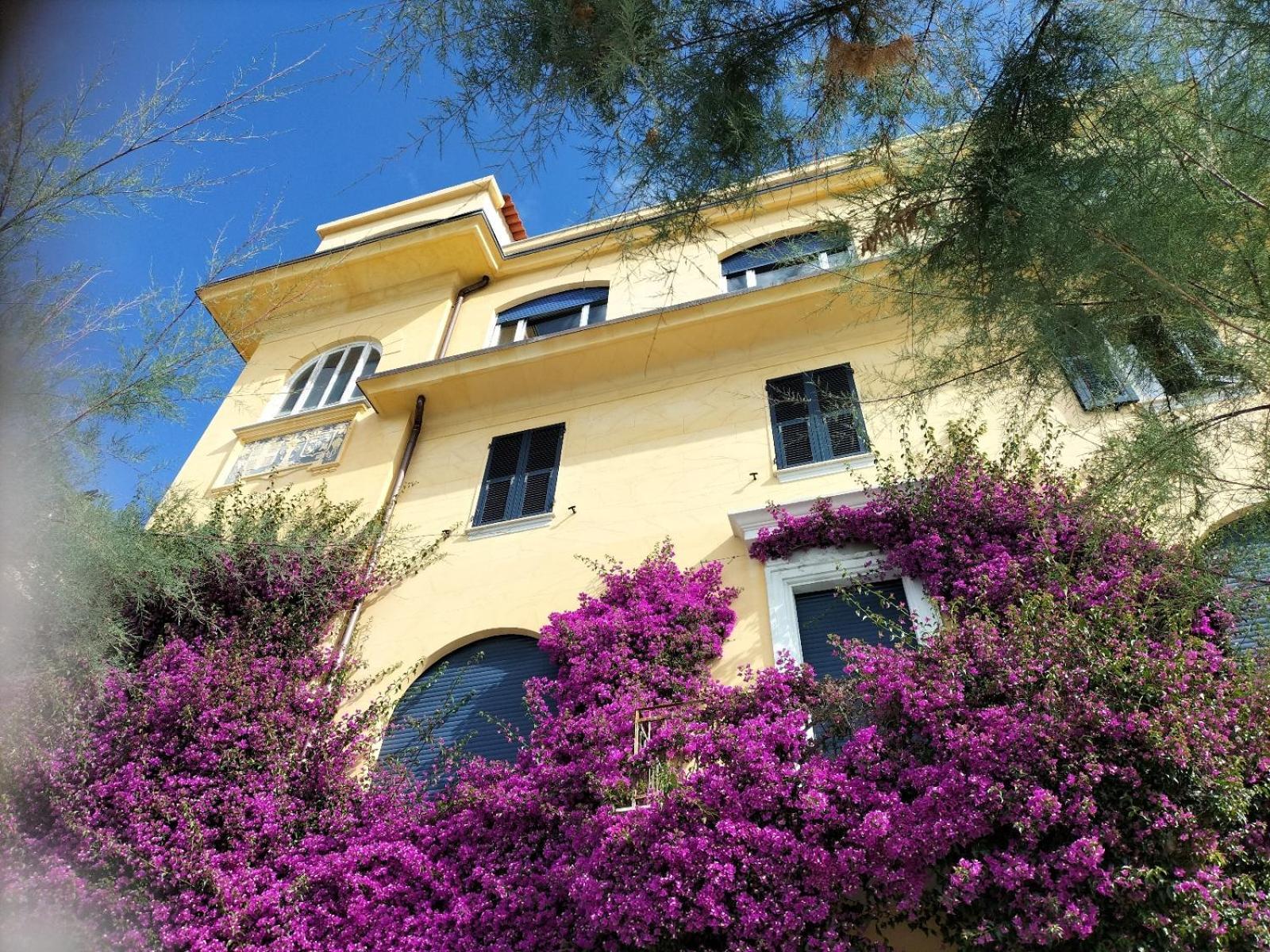 La Bouganville Beatiful Sea View Monterosso al Mare Luaran gambar